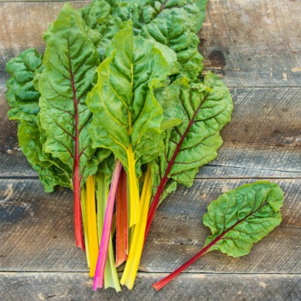 Organik Renkli Pazı Demet