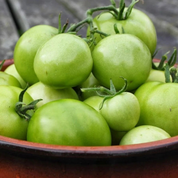 Organik Yeşil Domates 0.5kg