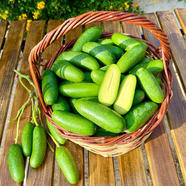 Organik Bebek Avokado 0.5 Kg