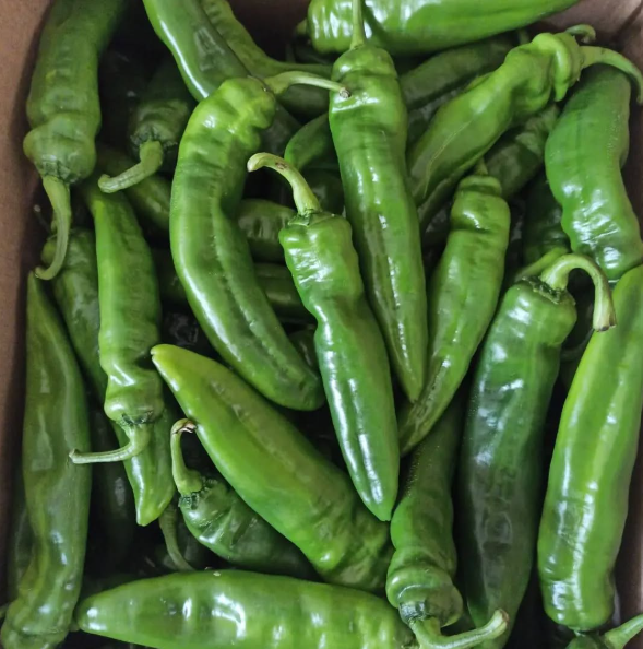 Organik Hatay Biberi(Samandağ) 0.5 kg