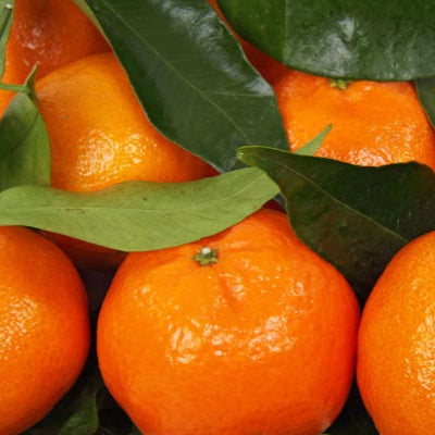 Organik Mandalina 0.5kg